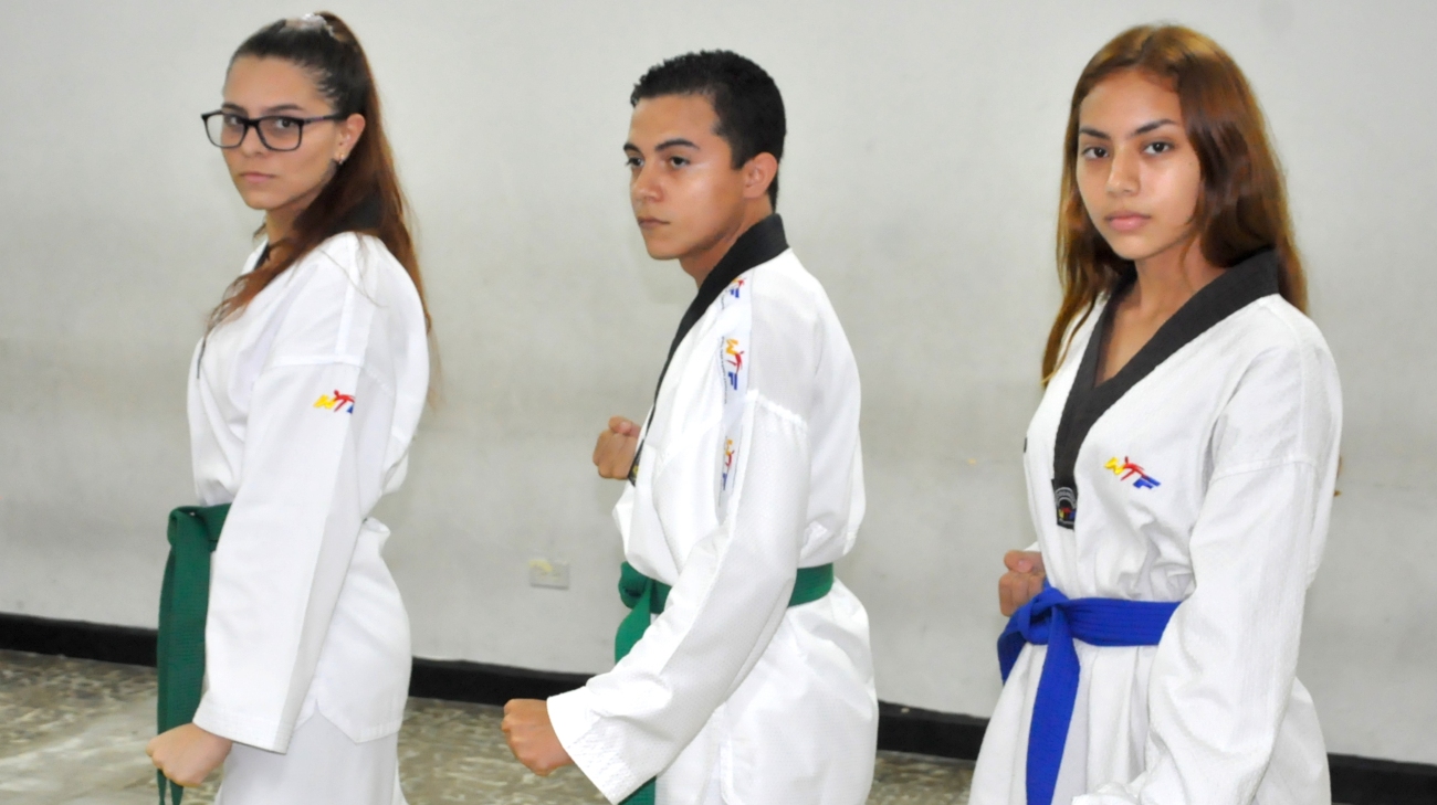 Taekwondo 2.jpg